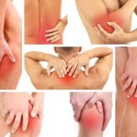 Herbal Pain Relief Oil